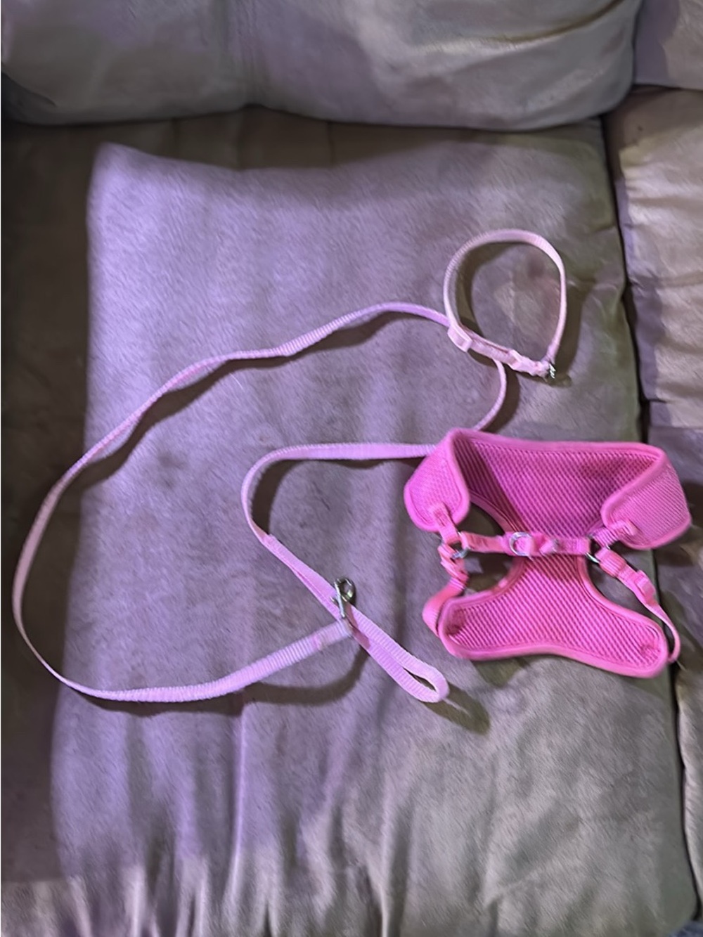 Adjustable Pink Dog Harness and Leash Set - Comfortable Soft Mesh